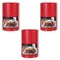 Candle-Lite Pillar Apple Cinnamon Crisp (2.754) (Pack of 3)